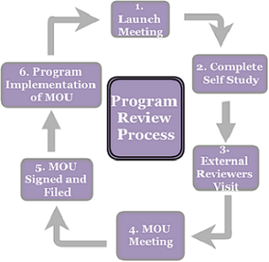 Program Review Steps Flow Chart