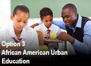 Option 3: African-American Urban Education