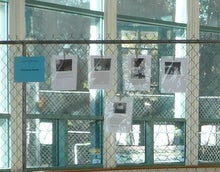 "Portraying Poverty" chain link fence display