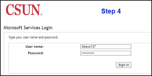 Step 4 Microsoft services login username and password