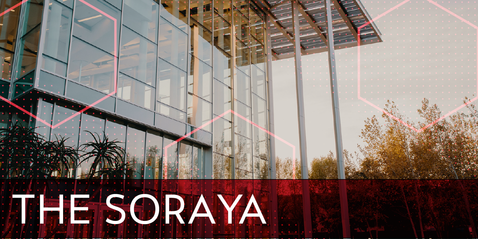 The Soraya