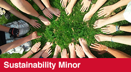 Sustainability Minor