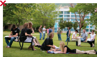 Students studying outside on grass.