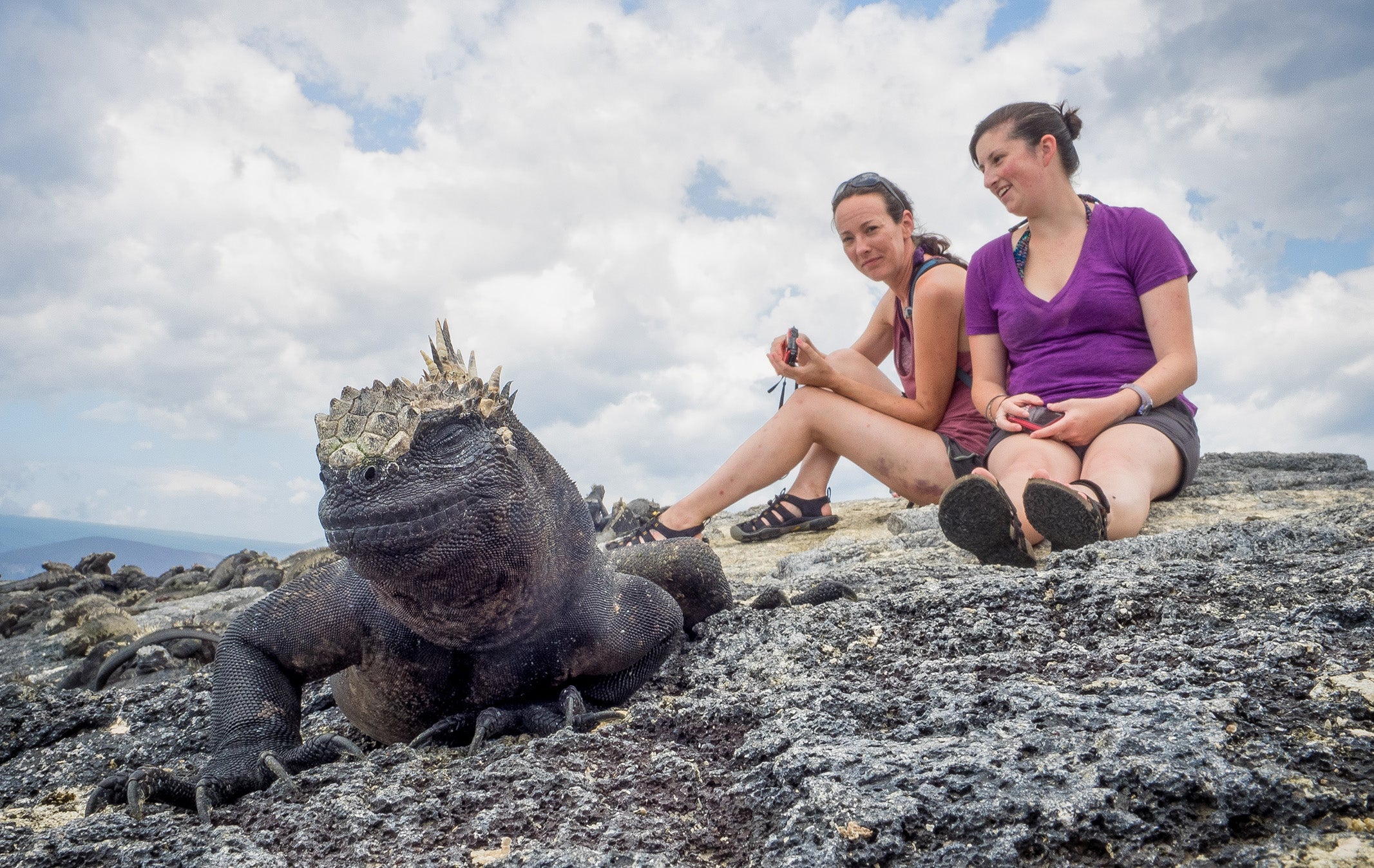 students on Galapagos Field Trip with marine iguana in foreground