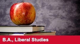 B.A., Liberal Studies