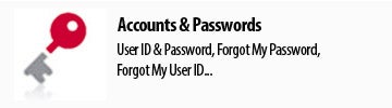 Accounts & Passwords button. 