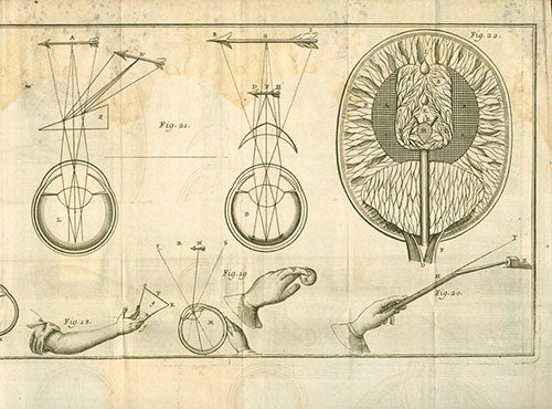 Cartesian-influenced illustration of eye