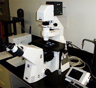 Zeiss AxioObserver Z1 inverted epifluorescence microscope.