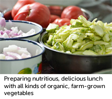 Preparing nutritious, delicious lunch with all kinds of organic, farm-grown vegetables