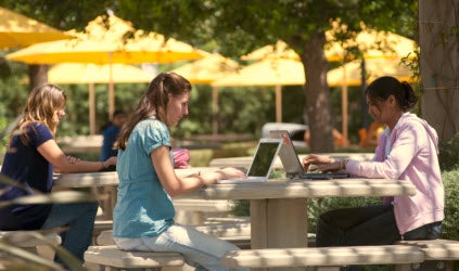 Students using their laptops outdoors on campus.