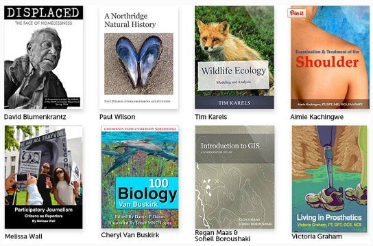 A photo of various electronically published works by CSUN professors.