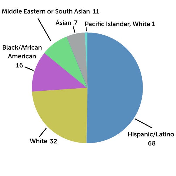Pie chart showing percieved race or ethnicity of person stopped.