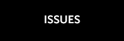list of issues