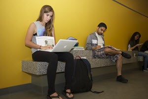 Woman using a laptop. 