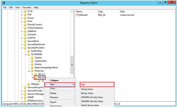 Registry editor - SSL 3.0 new key option