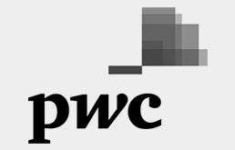 PWC Wordmark