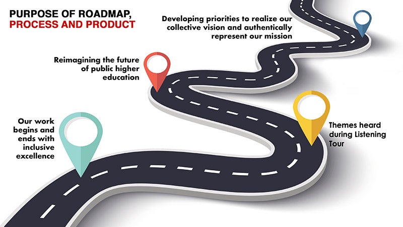 Infographic showing the purpose and process of the roadmap.