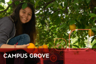 Student picking oranges