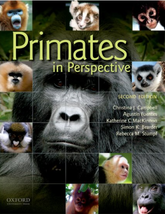 Primates in Perspective book cover