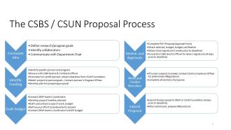 Flow-chart showing the CSUN proposal process