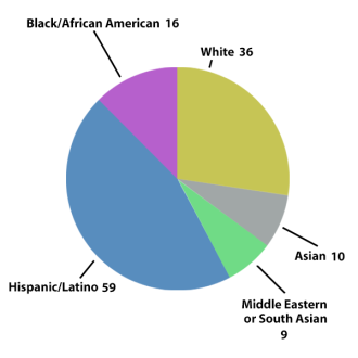 Pie chart showing percieved race or ethnicity of person stopped.