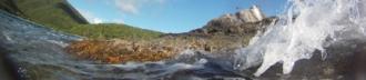 Tropical Coral Reefs