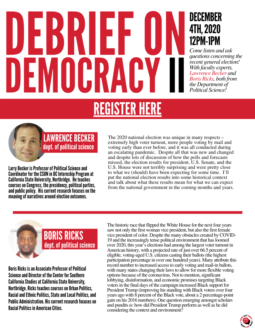 Debrief on Democracy II