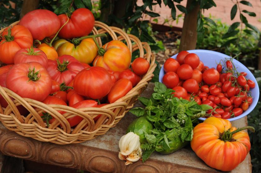 Picture of basket with tomatoes and other vegetables