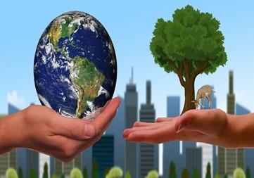 Hands holding the earth and a tree