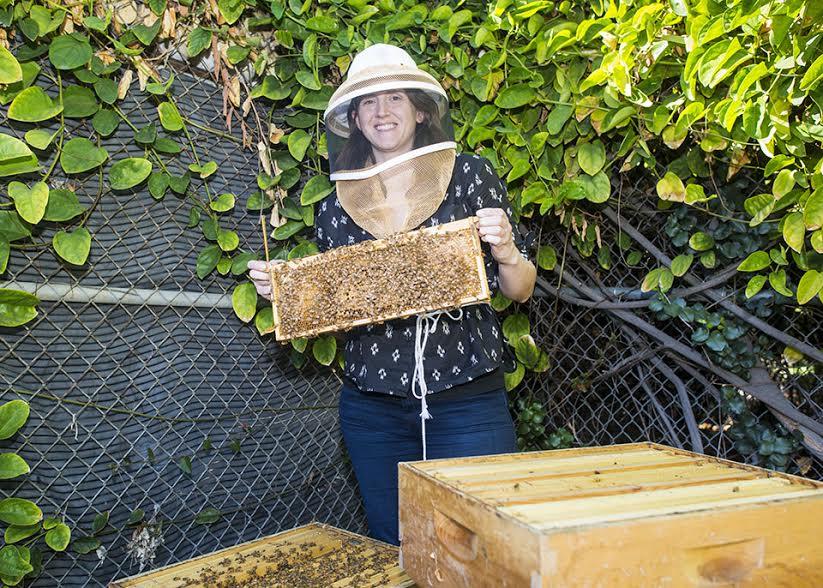 CSUN biology professor Rachel Mackelprang holds up a frame of a beehive located in the Botanic Garden