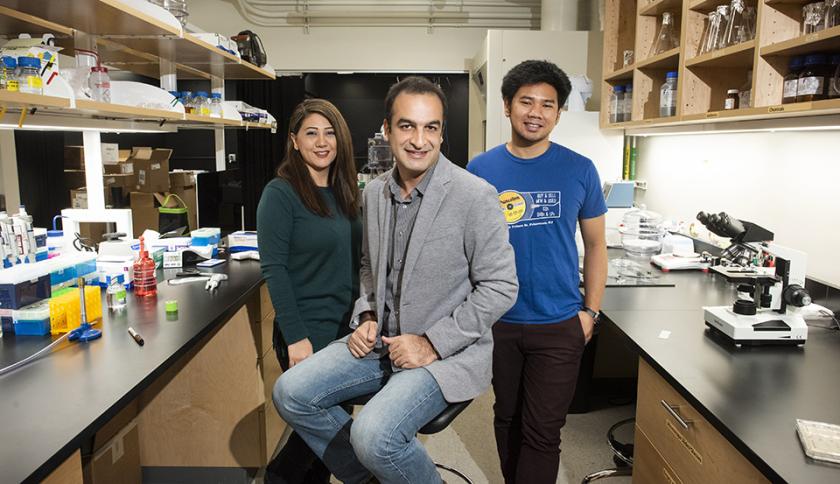 CSUN physics professor Sattar Taheri-Araghi with research assistants