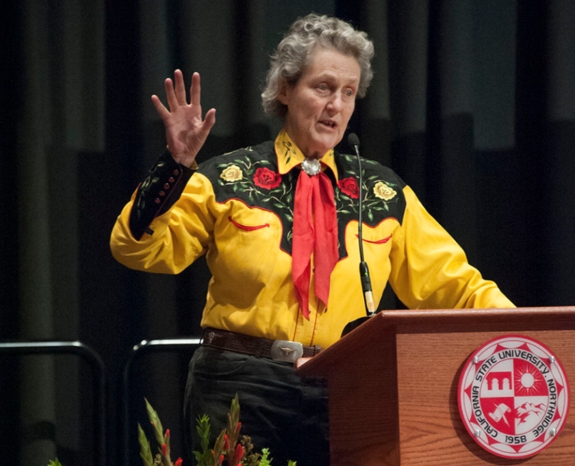 Temple Grandin News Lede
