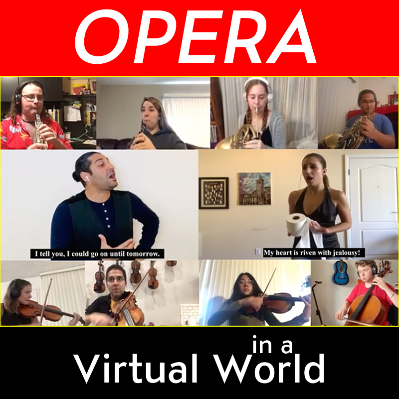 Screen capture from virtual opera