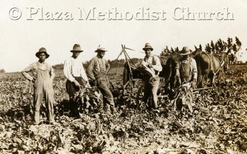 Orchard Pickers, ca. 1910