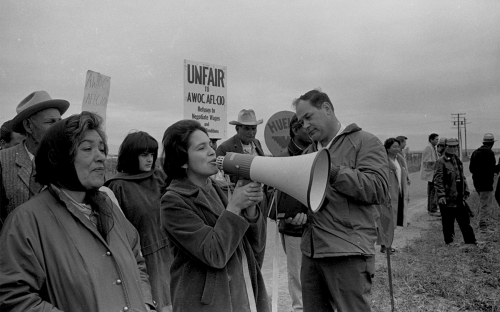Dolores Huerta on the bull horn as grower Jack Pandol tapes her. Delano area, 1966. Photograph by John Kouns.
