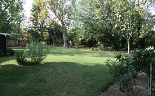 18309 Halsted Street - Backyard