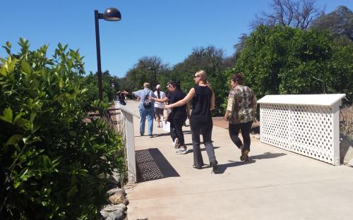 Group of people walking on Orange Grove Bistro path pointing at the orange trees