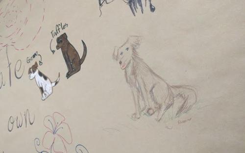 Three drawn images of dogs on a brown poster paper
