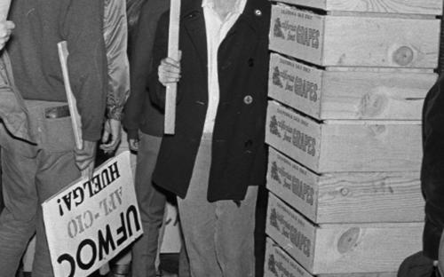 Picketing scab grape load delivery, 1966