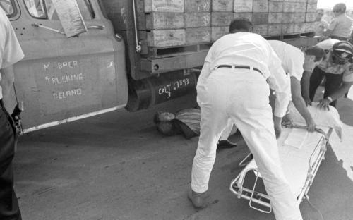 Farmworker Manuel Rivera lays injured on the ground after being run over by a truck driver in front of a packing shed. Delano, October 15, 1966. Photograph by Emmon Clarke.