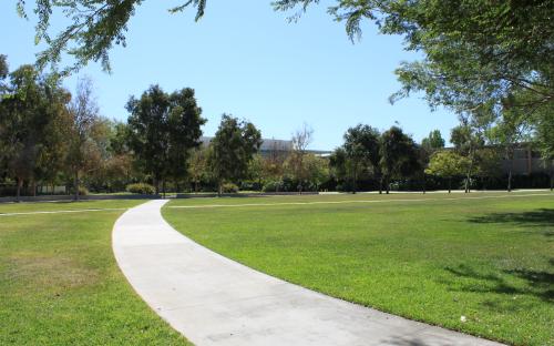 Manzanita Lawn