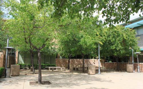 Cypress Hall Courtyard