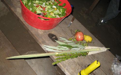 Salad and pomegranate, palm frond, myrtle branch, willow branch, and etrog