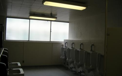 Eucalyptus Bathrooms