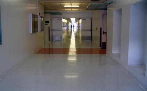 Jacaranda Hallway
