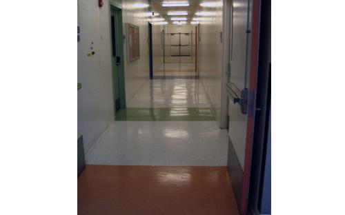 Jacaranda Hallway