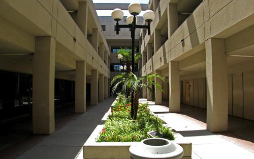 Juniper Courtyard