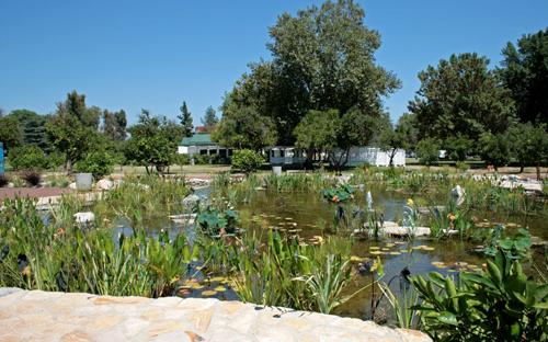 Orange Grove Pond