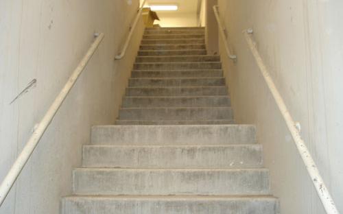 Redwood Hall Stairs