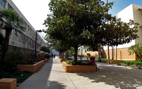 Sierra-Jerome Courtyard